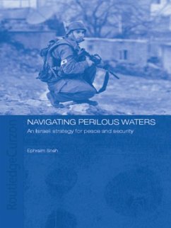 Navigating Perilous Waters (eBook, ePUB) - Sneh, Ephraim