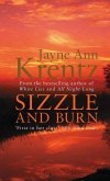 Sizzle And Burn (eBook, ePUB)