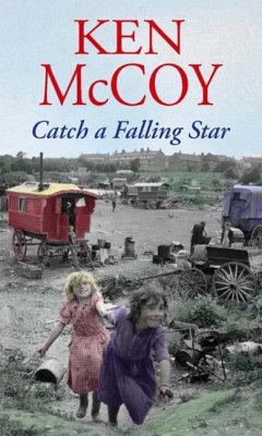 Cover Catch A Falling Star (eBook, ePUB)