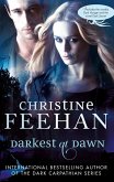 Darkest at Dawn (eBook, ePUB)
