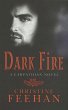Dark Fire (eBook, ePUB) - Bild 1