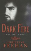 Dark Fire (eBook, ePUB)