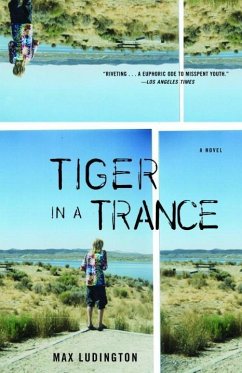 Tiger in a Trance (eBook, ePUB) - Ludington, Max