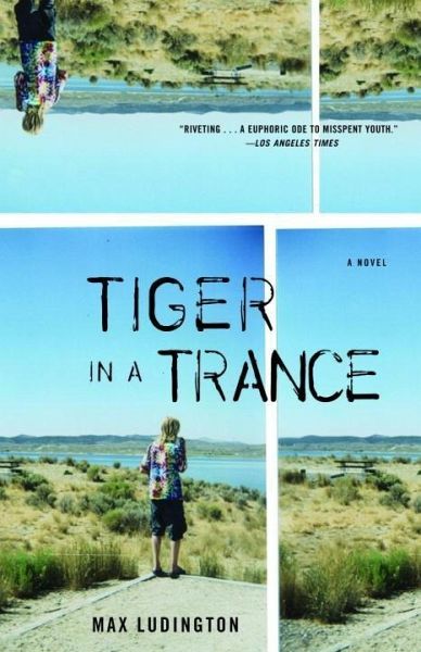 Tiger in a Trance (eBook, ePUB)