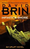 Infinity's Shore (eBook, ePUB)