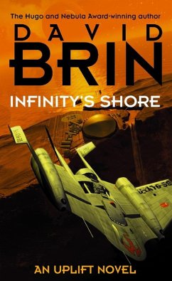 Cover Infinity's Shore (eBook, ePUB)