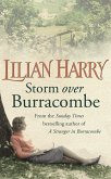 Storm Over Burracombe (eBook, ePUB)