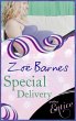Special Delivery (eBook, ePUB) - Bild 1