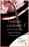 Custodian & Weather (eBook, ePUB) Custodian & Weather (eBook, ePUB)