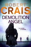Demolition Angel (eBook, ePUB)