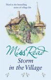 Storm in the Village (eBook, ePUB)