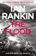 The Flood (eBook, ePUB) - Bild 1