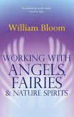 Working With Angels, Fairies And Nature Spirits (eBook, ePUB)