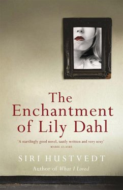 The Enchantment of Lily Dahl (eBook, ePUB) - Hustvedt, Siri