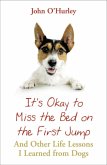 It's OK to Miss the Bed on the First Jump (eBook, ePUB)