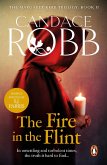 The Fire In The Flint (eBook, ePUB)
