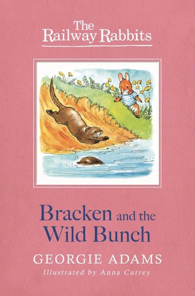 Bracken and the Wild Bunch (eBook, ePUB) Bracken and the Wild Bunch (eBook, ePUB)