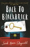 Back to Blackbrick (eBook, ePUB)