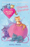 Pocket Cats: Friends Forever (eBook, ePUB)