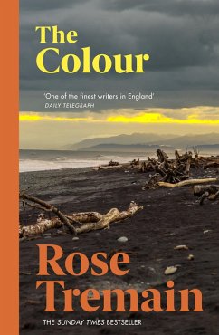 The Colour (eBook, ePUB) - Tremain, Rose