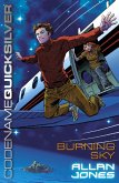 Burning Sky (eBook, ePUB)