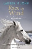The One Dollar Horse: Race the Wind (eBook, ePUB)