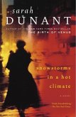 Snowstorms in a Hot Climate (eBook, ePUB)