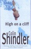 High on a Cliff (eBook, ePUB)