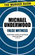 False Witness (eBook, ePUB) - Bild 1