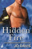 Hidden Fire: The Firefighters of Station Five Book 3 (eBook, ePUB)