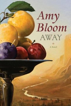 Away (eBook, ePUB) - Bloom, Amy