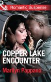 Copper Lake Encounter (eBook, ePUB)