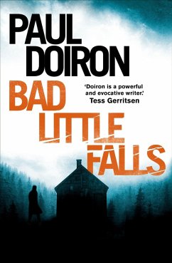Cover Bad Little Falls (eBook, ePUB)