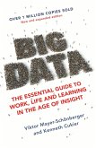 Big Data (eBook, ePUB)