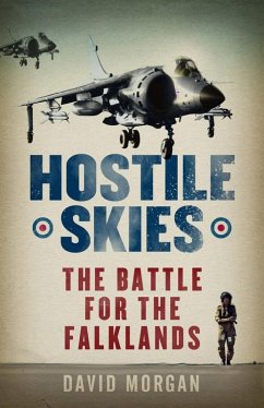 Cover Hostile Skies (eBook, ePUB)