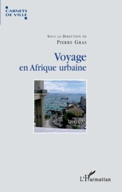 Voyage en Afrique urbaine (eBook, PDF)