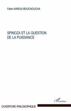 Spinoza et la question de la puissance (eBook, PDF)