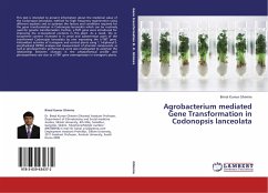 Agrobacterium mediated Gene Transformation in Codonopsis lanceolata - Ghimire, Bimal Kumar