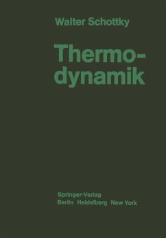 Thermodynamik - Schottky, Walter