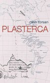 Plasterca (eBook, ePUB)
