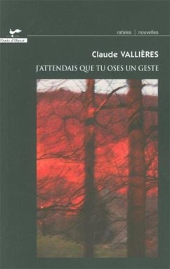 Cover J'attendais que tu oses un geste (eBook, ePUB)