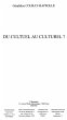Du cultuel au culturel ? (eBook, ePUB) - Bild 1