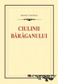 Ciulinii Baraganului (eBook, ePUB)