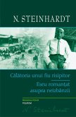 Călătoria unui fiu risipitor. Eseu romanțat asupra neizbînzii (eBook, ePUB)