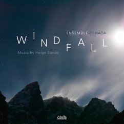 Windfall-Music By Helge Sunde - Ensemble Denada