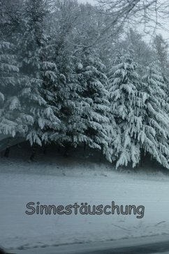 Sinnestäuschung (eBook, ePUB) - Trilling, O.