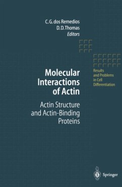 Molecular Interactions of Actin