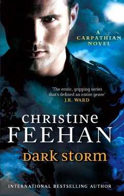 Dark Storm (eBook, ePUB) - Feehan, Christine