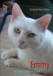Emmy (eBook, ePUB) - Bild 1