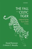 The Fall of the Celtic Tiger (eBook, PDF)